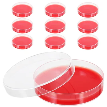 Krvni Agar Plošče Krvni Agar Srednje Bioloških Ugotoviti, Oprema za Laboratorijske Bioloških Znanstvenih Šolske Potrebščine