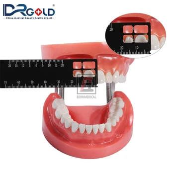 Zobni Natančnost Multi-Merjenje Vladar Medicinske Orodje Za Merjenje Obsega Endodontic Instrumenti Zobozdravstvo Material, Orodja